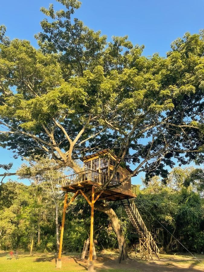 הוילה Utica Casa En El Arbol מראה חיצוני תמונה