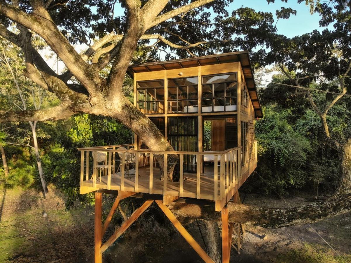 הוילה Utica Casa En El Arbol מראה חיצוני תמונה