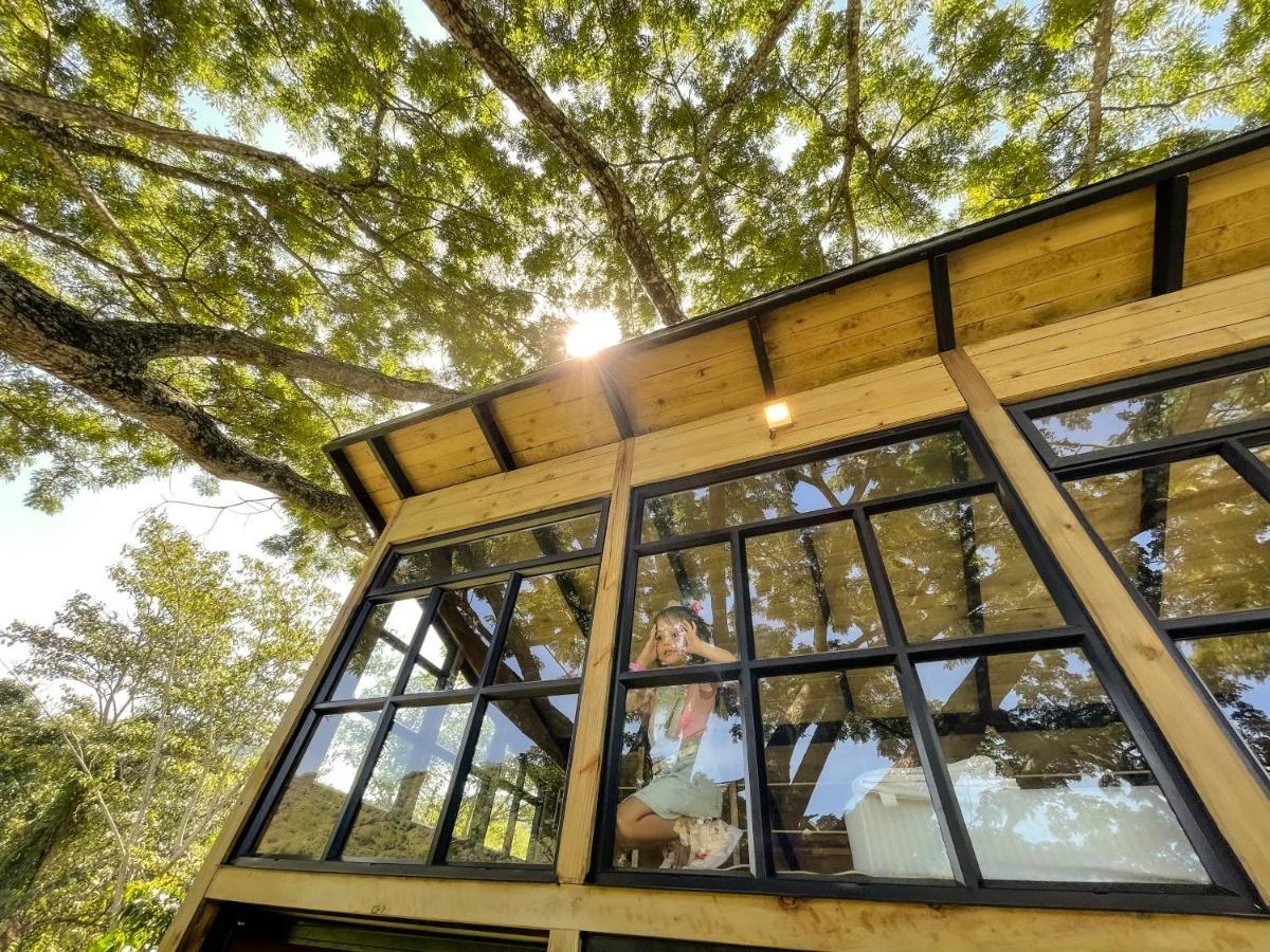 הוילה Utica Casa En El Arbol מראה חיצוני תמונה
