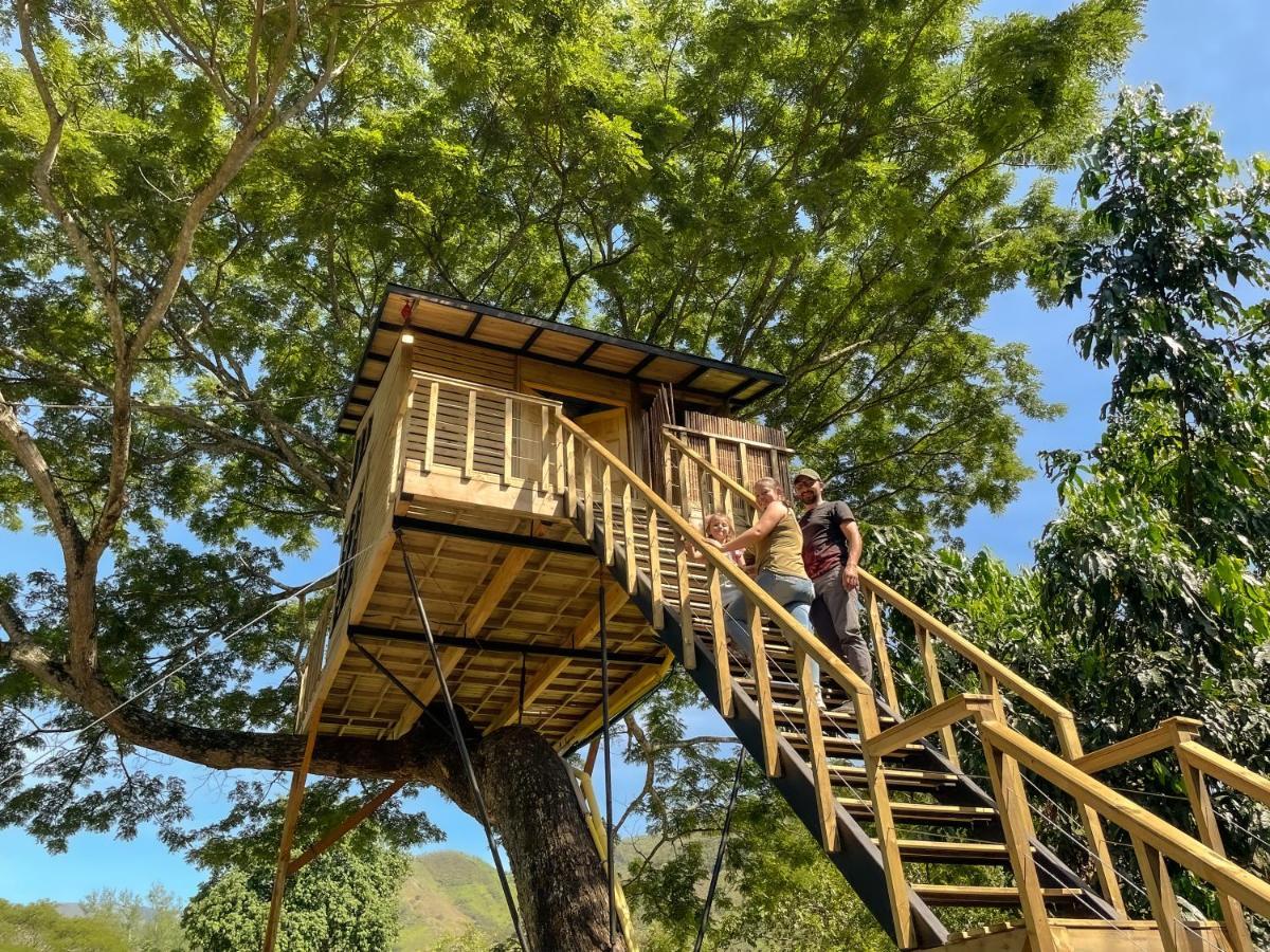 הוילה Utica Casa En El Arbol מראה חיצוני תמונה
