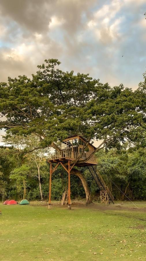 הוילה Utica Casa En El Arbol מראה חיצוני תמונה